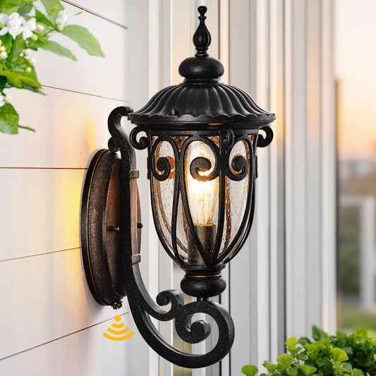 VIANIS Vintage Outdoor Light Fixture, Aluminum, Waterproof, Oil-Rubbed Bronze, Model 9886236011, Bubble Glass, 1 Pack